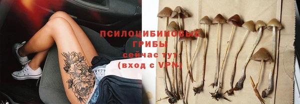 a pvp Армянск